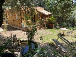 Cabane bambou